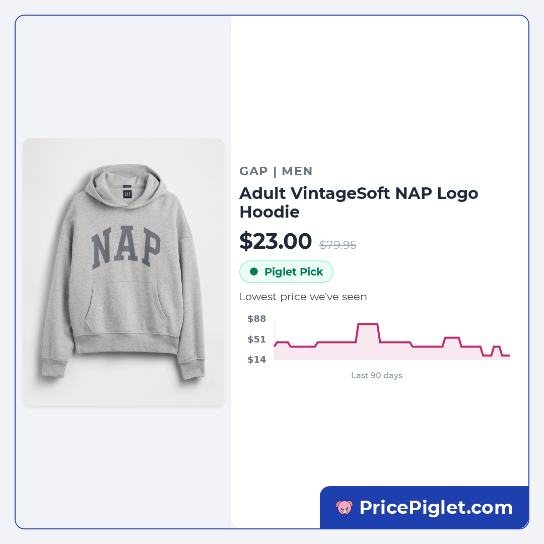 Adult VintageSoft NAP Logo Hoodie