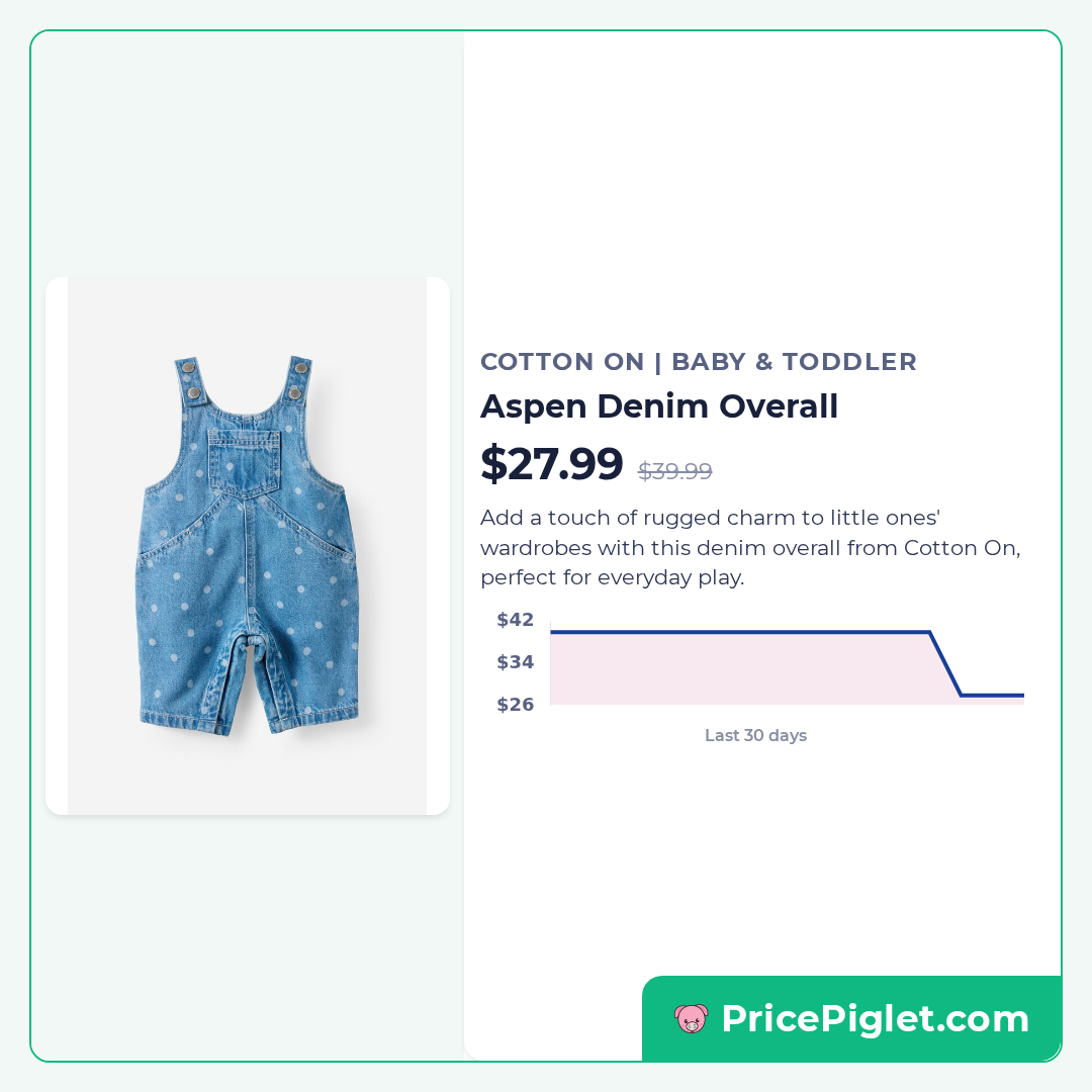 Aspen Denim Overall