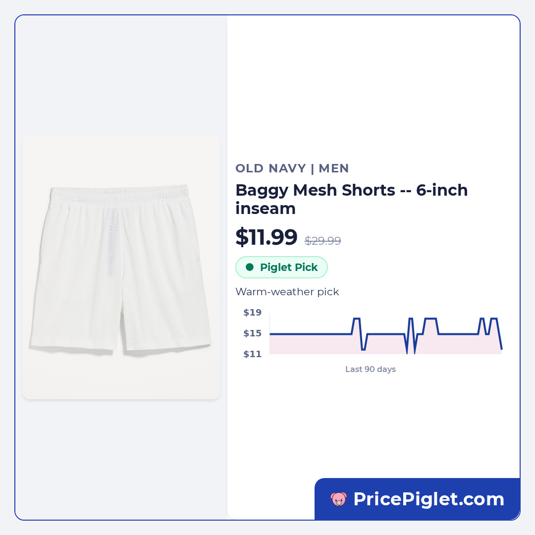 Baggy Mesh Shorts -- 6-inch inseam