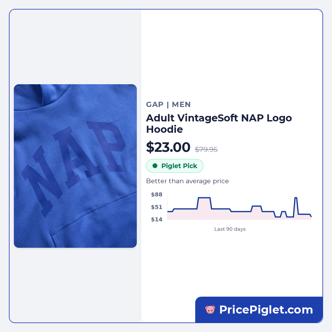 Adult VintageSoft NAP Logo Hoodie